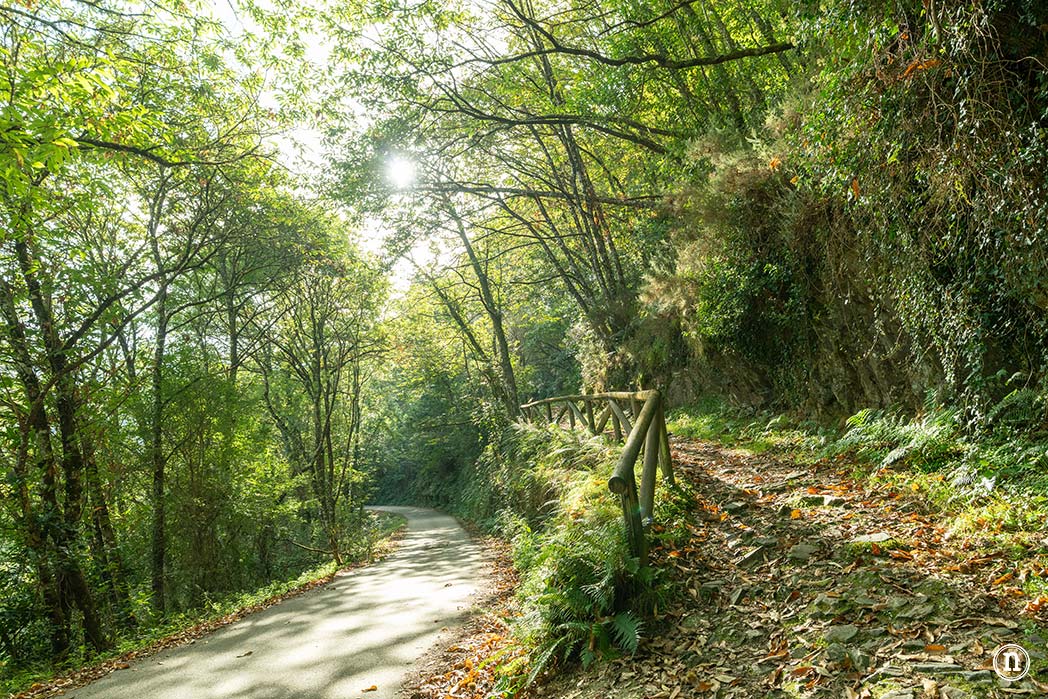 Ruta del Agua de Taramundi el viaje a la Asturias más profunda