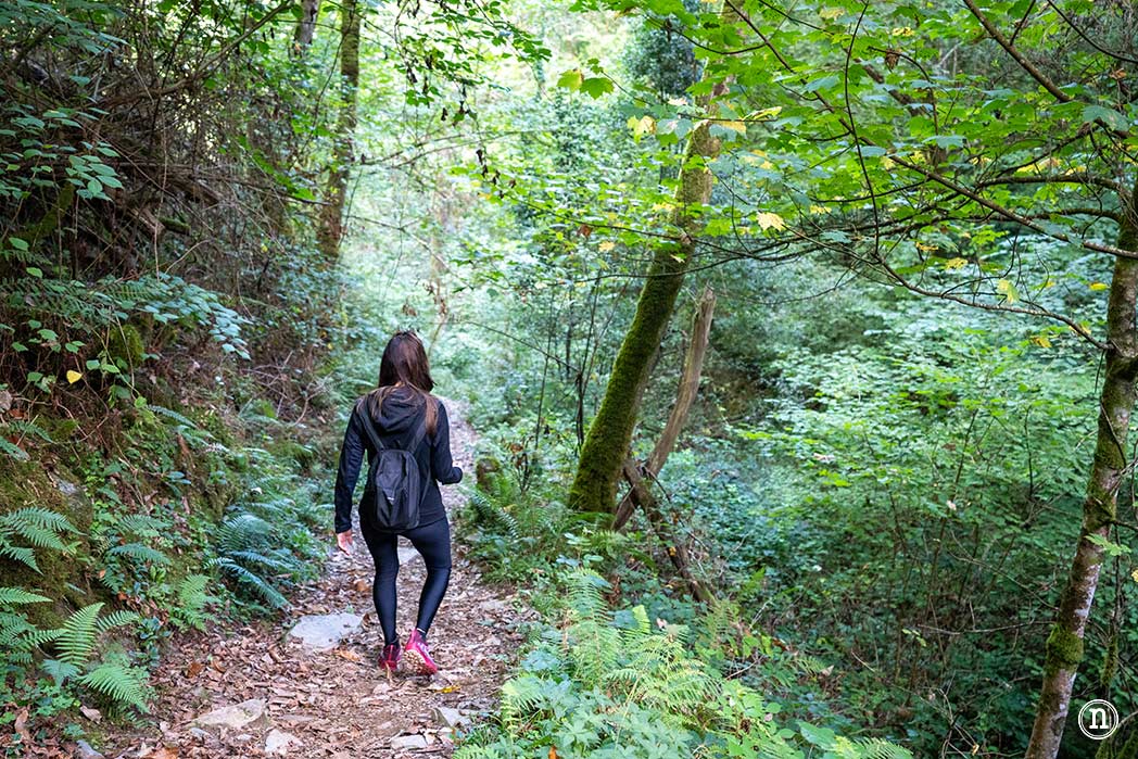 Ruta del Agua de Taramundi el viaje a la Asturias más profunda