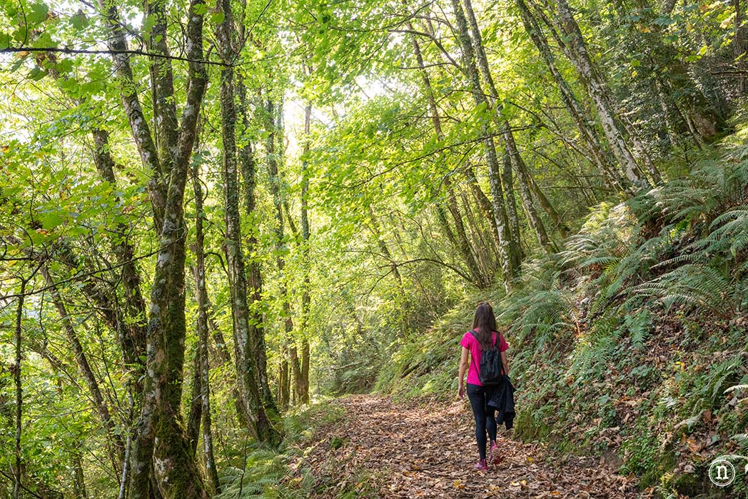 Ruta del Agua de Taramundi el viaje a la Asturias más profunda