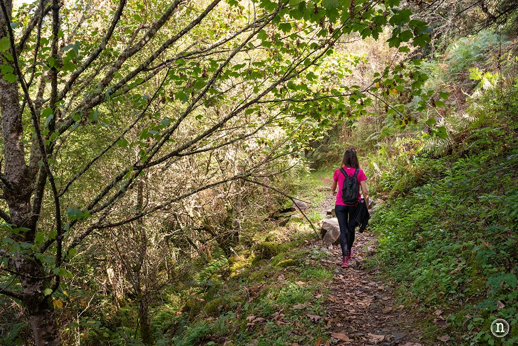 Ruta del Agua de Taramundi el viaje a la Asturias más profunda