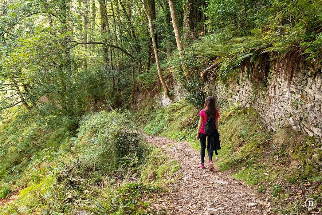 Ruta del Agua de Taramundi el viaje a la Asturias más profunda