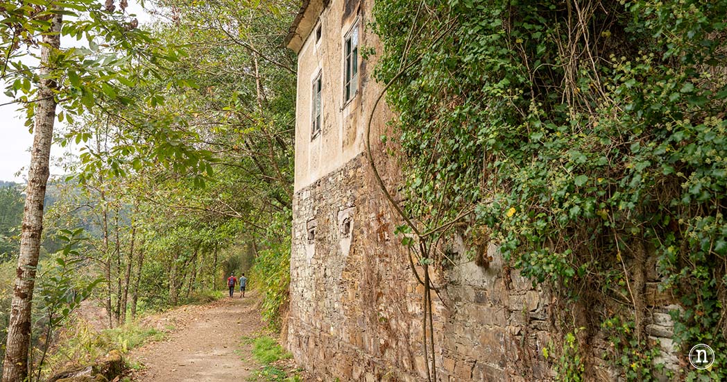 Ruta del Agua de Taramundi el viaje a la Asturias más profunda