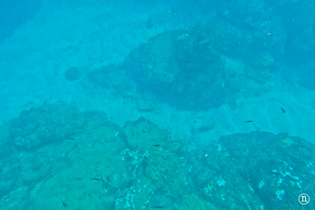 Snorkel en Isla del Caño el paraíso submarino de Costa Rica