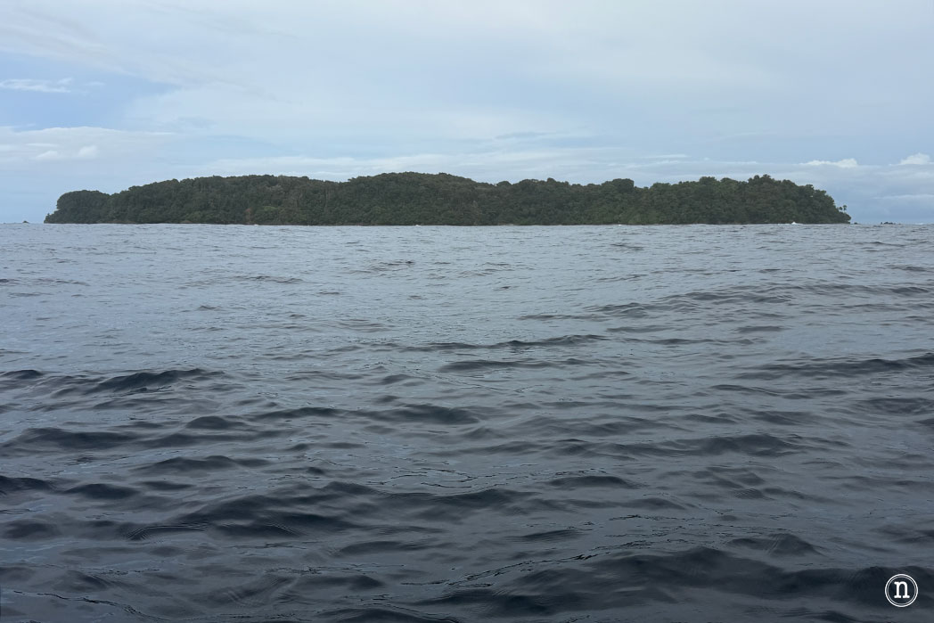 Snorkel en Isla del Caño el paraíso submarino de Costa Rica
