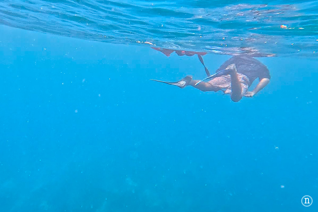 Snorkel en Isla del Caño el paraíso submarino de Costa Rica