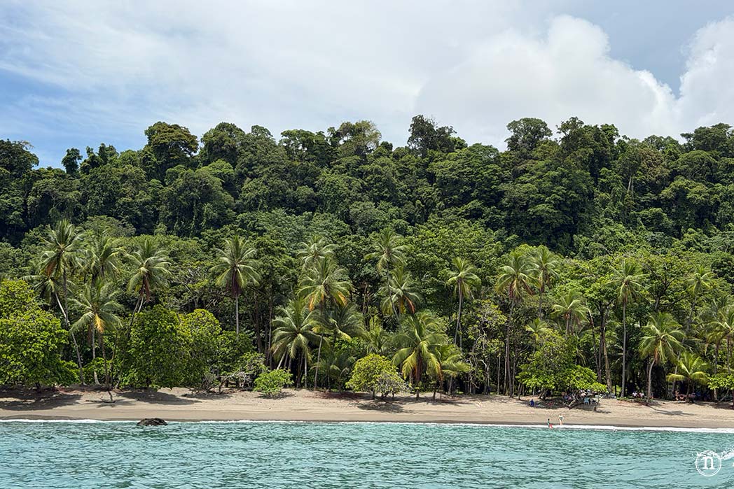 Snorkel en Isla del Caño el paraíso submarino de Costa Rica