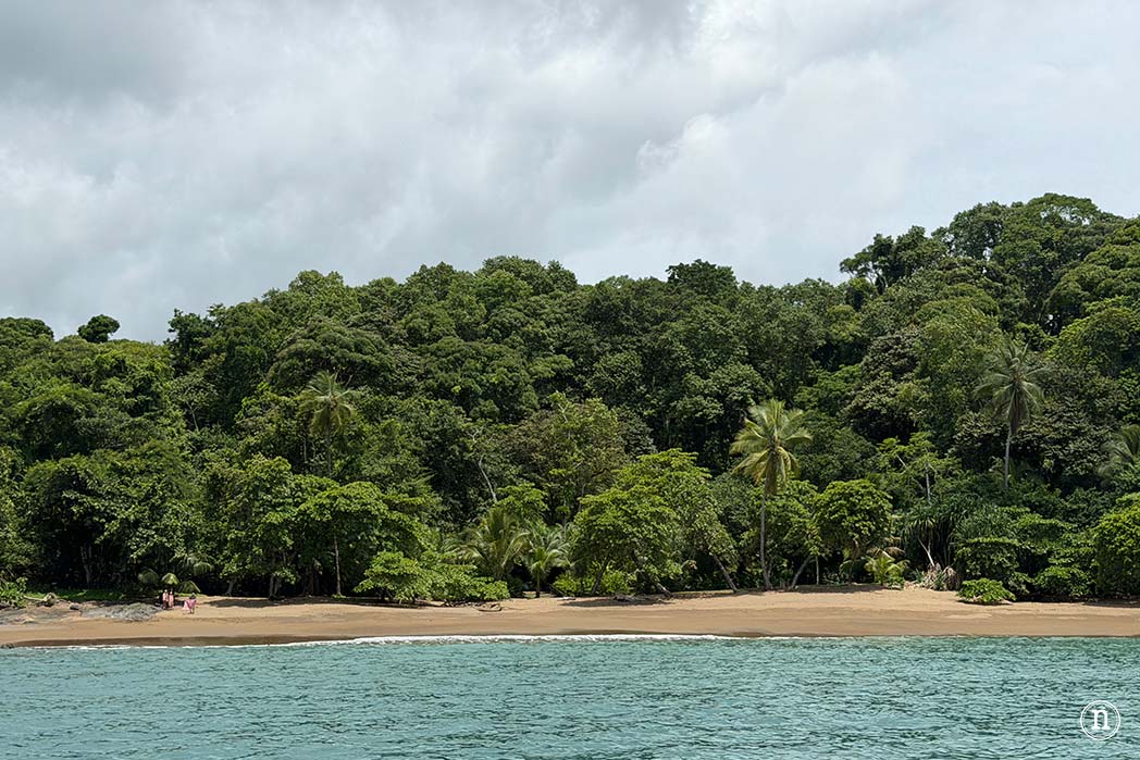 Snorkel en Isla del Caño el paraíso submarino de Costa Rica