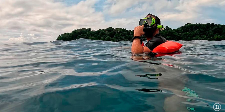 Snorkel en Isla del Caño el paraíso submarino de Costa Rica