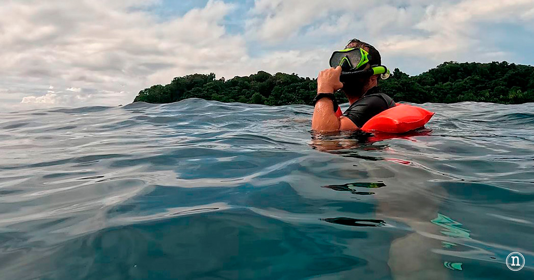 Snorkel en Isla del Caño el paraíso submarino de Costa Rica