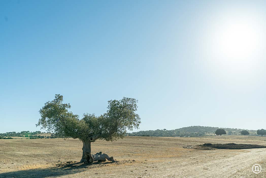 Alaraz, ruta por la Cuesta aguda y Juana de la soledad