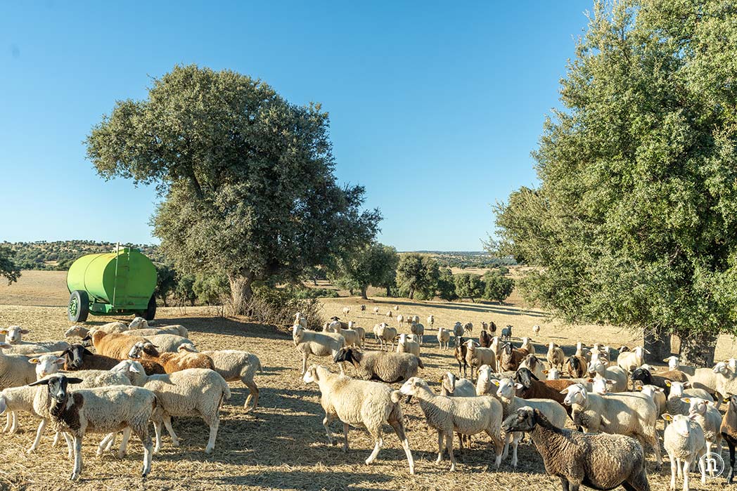 Alaraz, ruta por la Cuesta aguda y Juana de la soledad