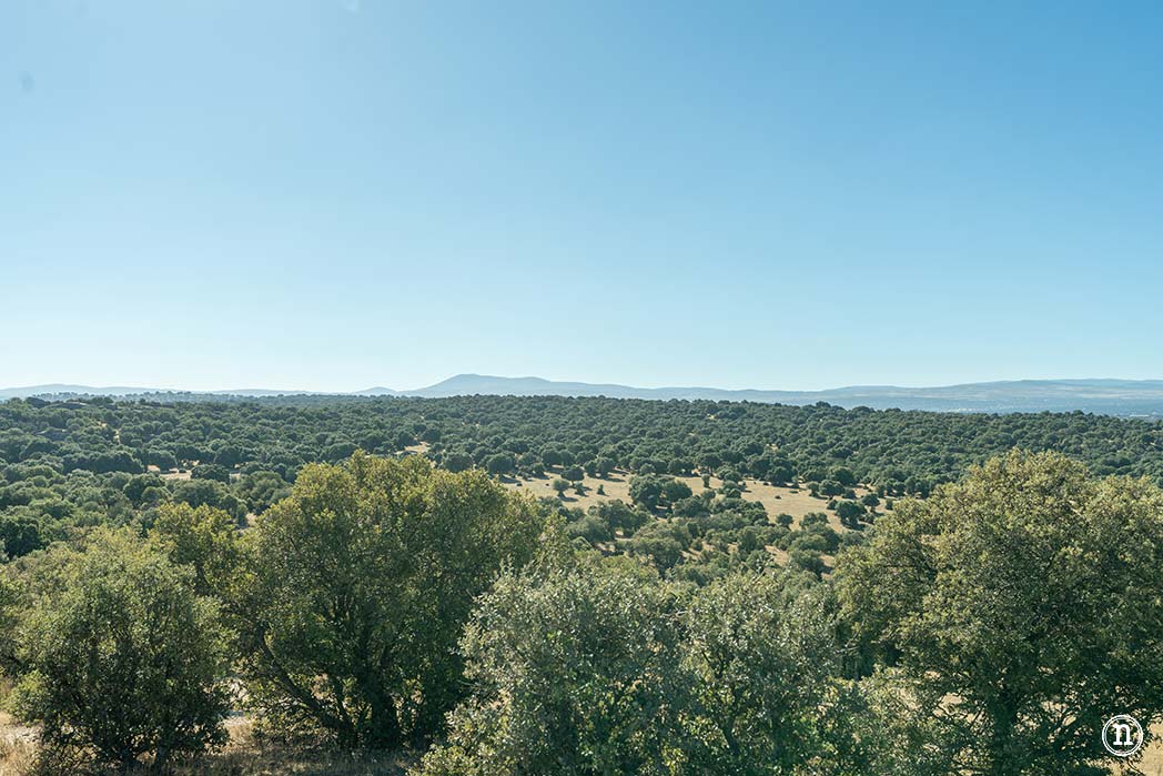 Alaraz, ruta por la Cuesta aguda y Juana de la soledad