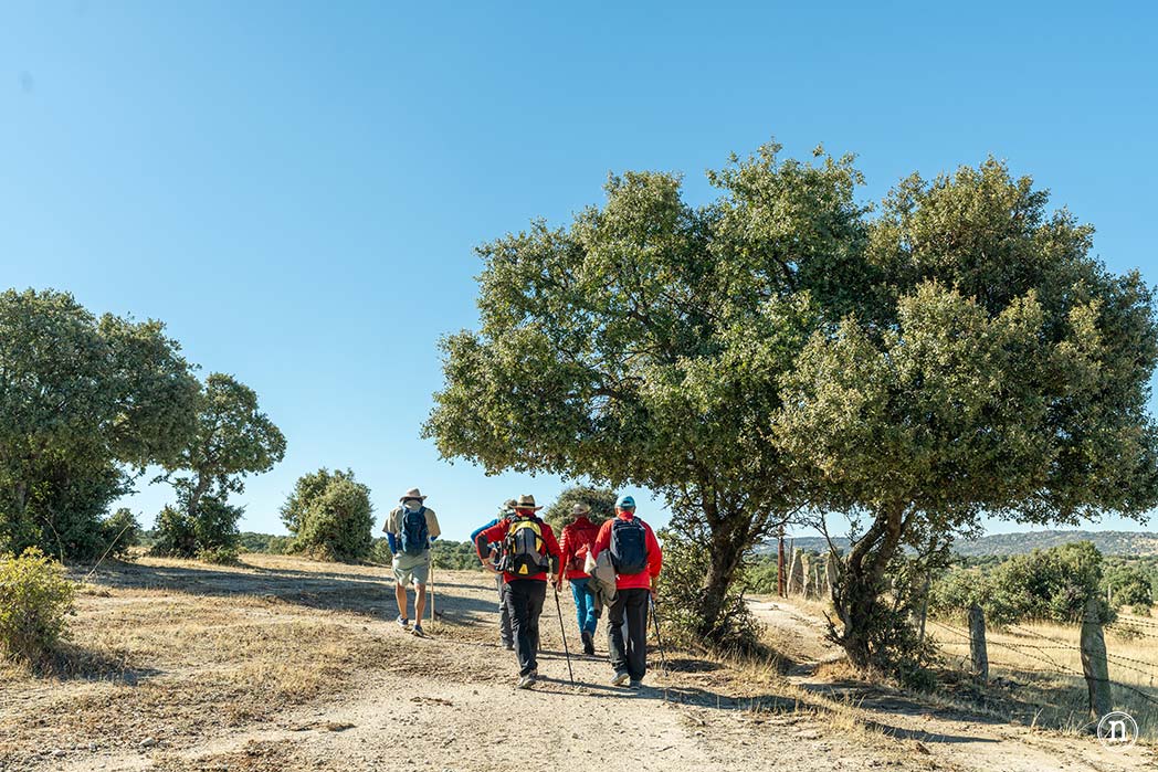 Alaraz, ruta por la Cuesta aguda y Juana de la soledad