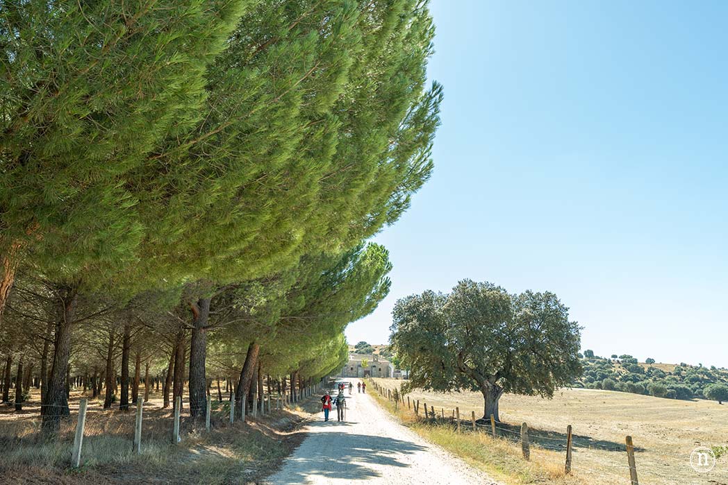 Alaraz, ruta por la Cuesta aguda y Juana de la soledad