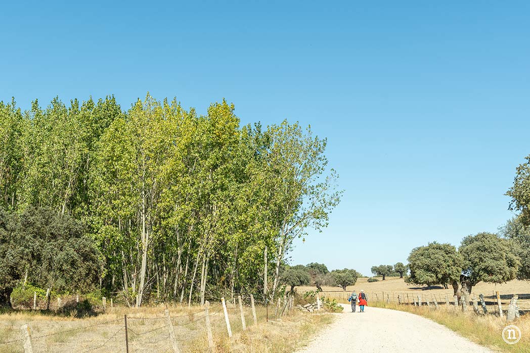 Alaraz, ruta por la Cuesta aguda y Juana de la soledad