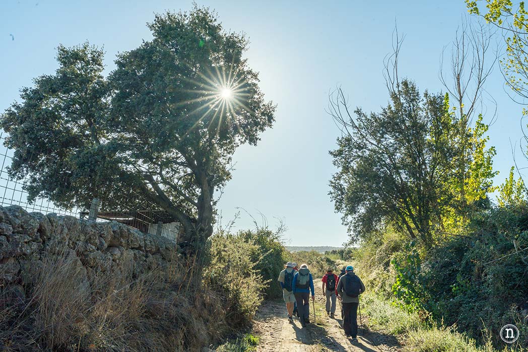 Alaraz, ruta por la Cuesta aguda y Juana de la soledad