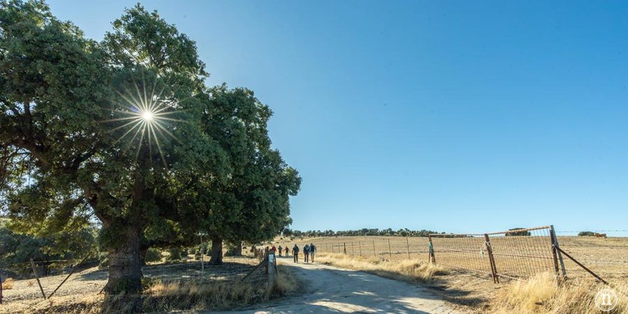 Alaraz, ruta por la Cuesta aguda y Juana de la soledad