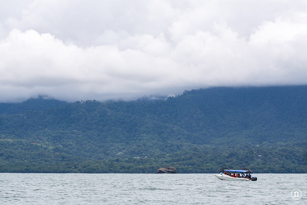 Ballenas en Uvita cuándo y cómo verlas en Costa Rica