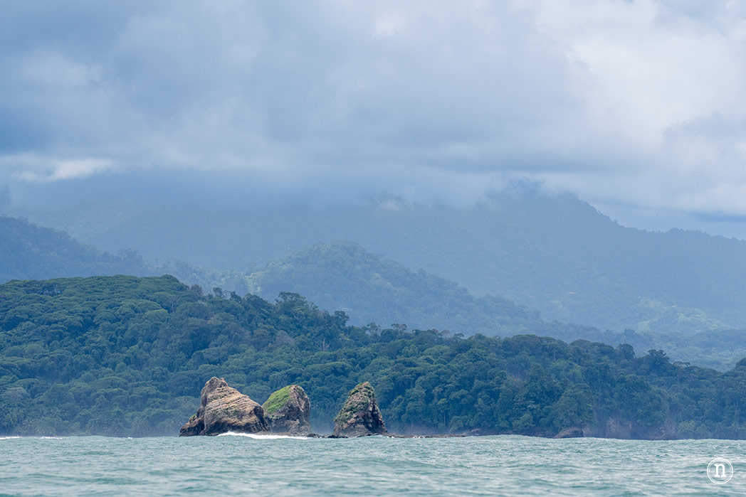 Ballenas en Uvita cuándo y cómo verlas en Costa Rica