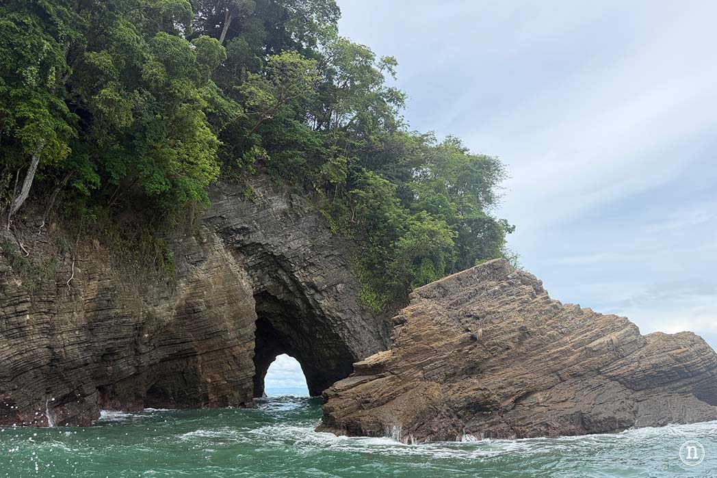 Ballenas en Uvita cuándo y cómo verlas en Costa Rica