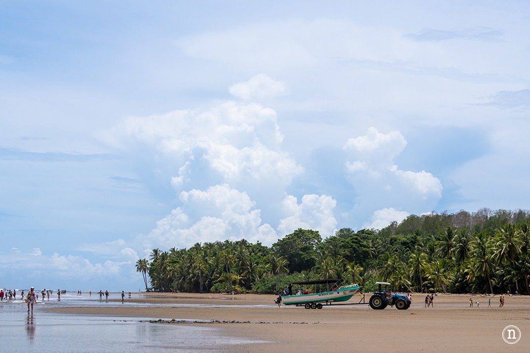 Uvita Costa Rica guía definitiva para visitar el P. N. Marino Ballena 