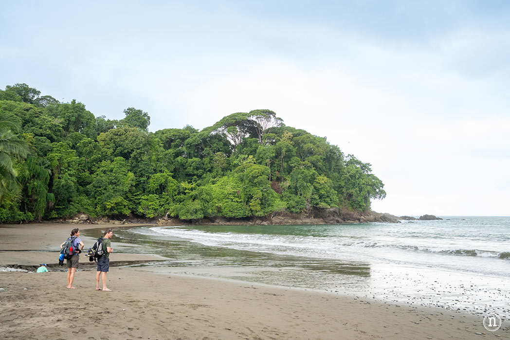 Uvita Costa Rica guía definitiva para visitar el P. N. Marino Ballena