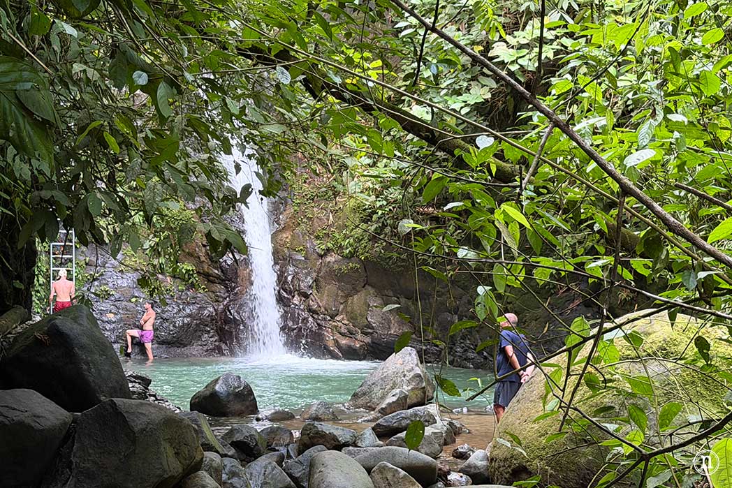 Uvita Costa Rica guía definitiva para visitar el P. N. Marino Ballena